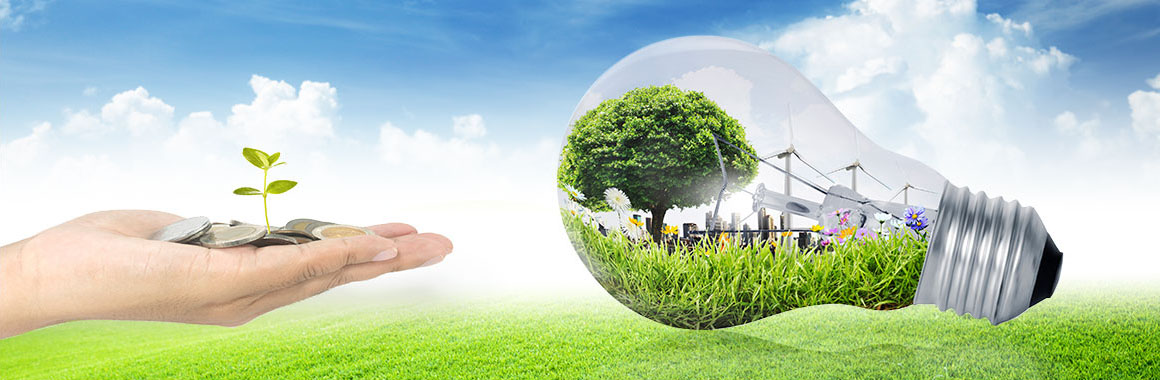 Environmental Policy
								